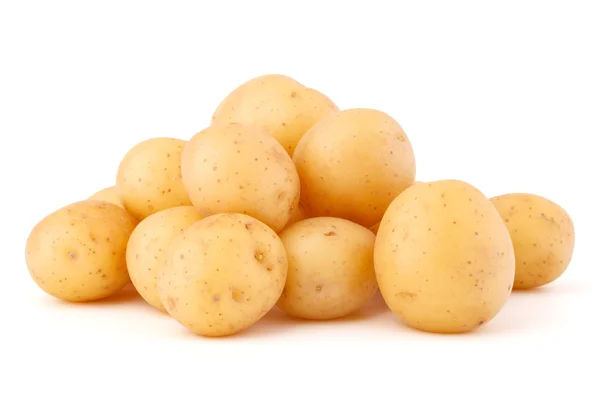 Nieuwe aardappelknollen — Stockfoto