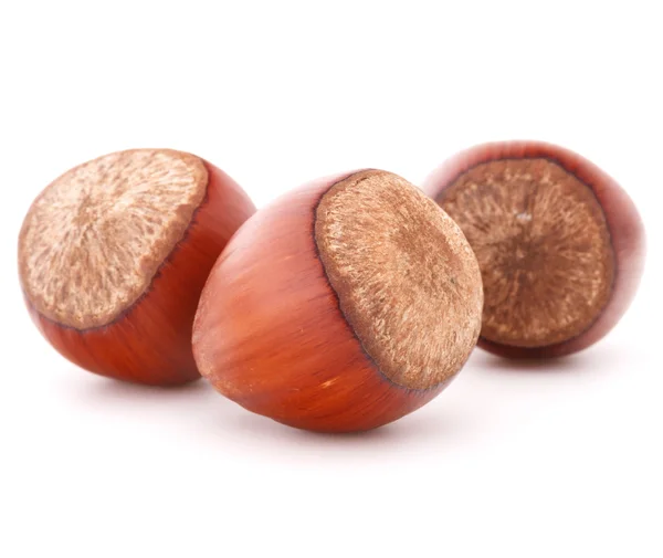 Hazelnut or filbert nut — Stock Photo, Image