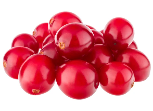 Preiselbeeren — Stockfoto