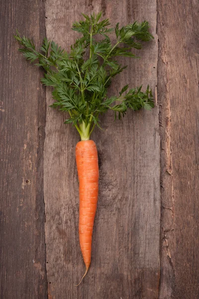 Bouquet de carotte fraîche — Photo