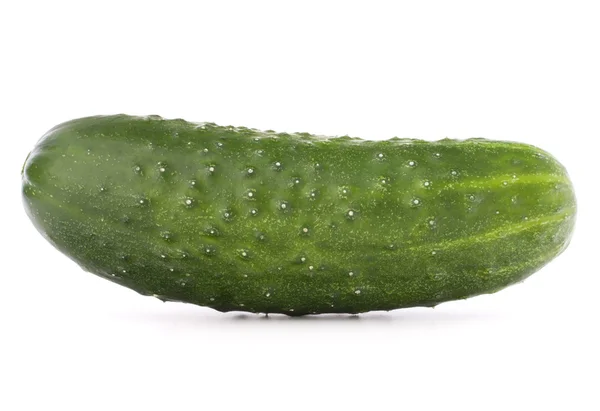 Pepino vegetal — Fotografia de Stock