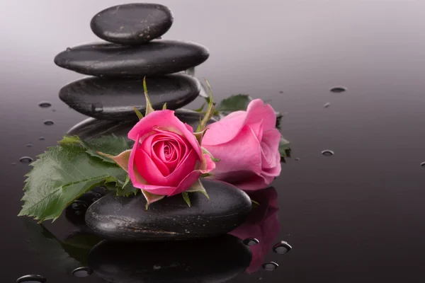 Spa stone and rose flowers still life. — Stock Photo, Image