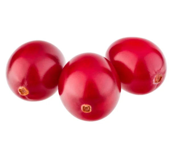 Клюква-ягоды — стоковое фото