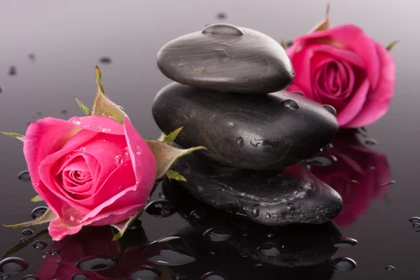 Σπα πέτρα και ροδαλά λουλούδια νεκρές φύσεις. — Φωτογραφία Αρχείου