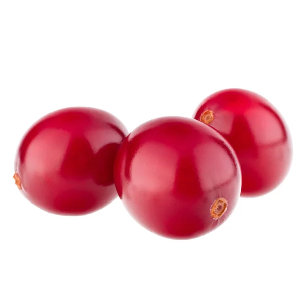 Cranberry — Stockfoto