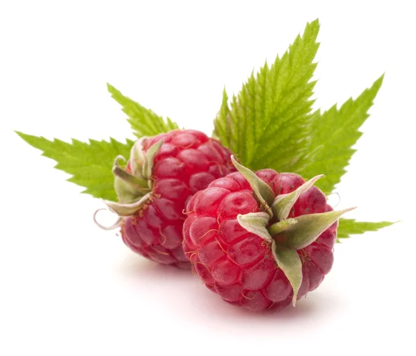 Sweet raspberry — Stock Photo, Image