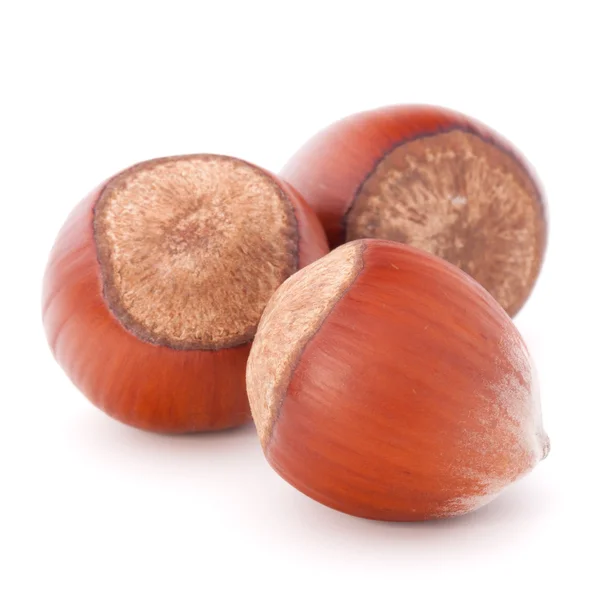 Hazelnut or filbert nut — Stock Photo, Image