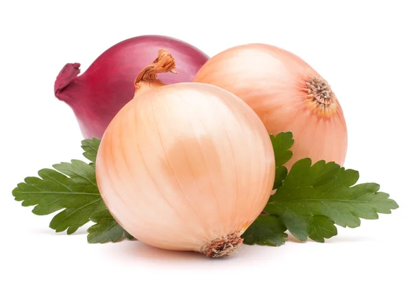 Onion vegetable bulbs and parsley leaves — Stock Photo, Image