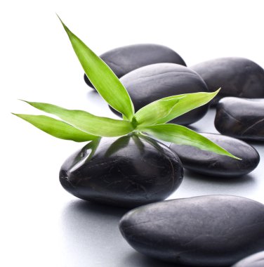 Zen çakıl