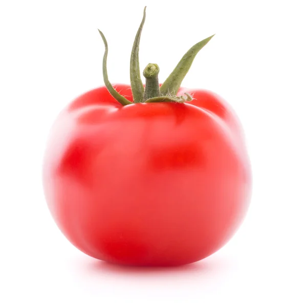 Tomatengemüse — Stockfoto