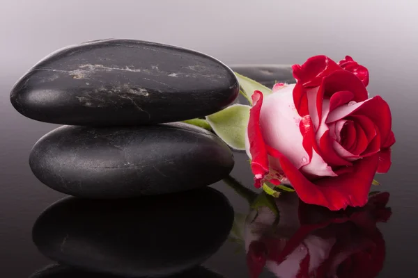 Spa stone and rose — Stock Photo, Image