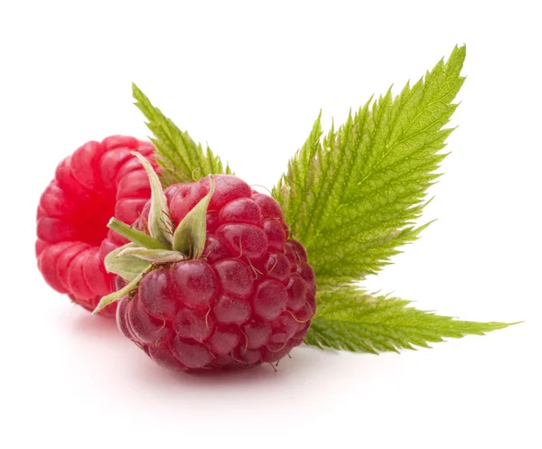 Sweet raspberry — Stock Photo, Image