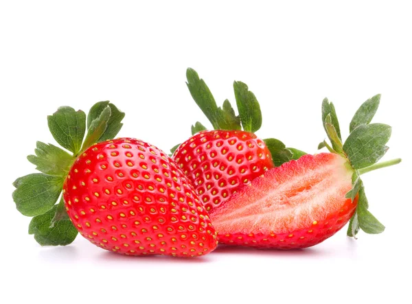 Erdbeere Nahaufnahme — Stockfoto