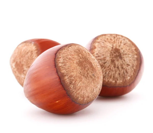 Hazelnuts or filbert nuts — Stock Photo, Image