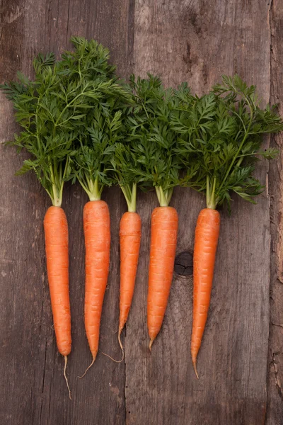 Bouquet de carotte fraîche — Photo