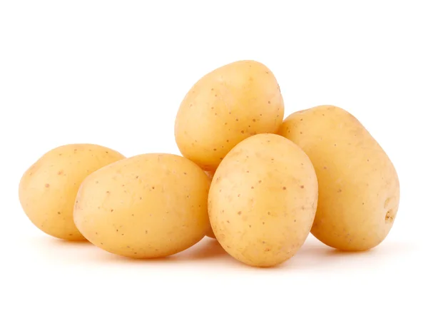 Νέα κονδύλων πατάτας — Φωτογραφία Αρχείου