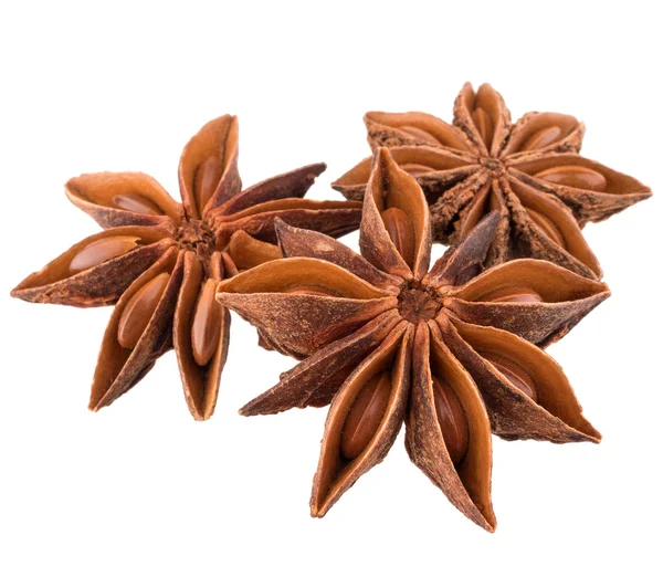 yıldız anason baharat