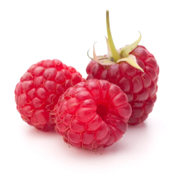 Süße Himbeeren — Stockfoto