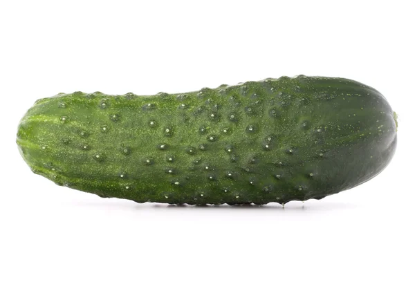 Pepino vegetal — Foto de Stock