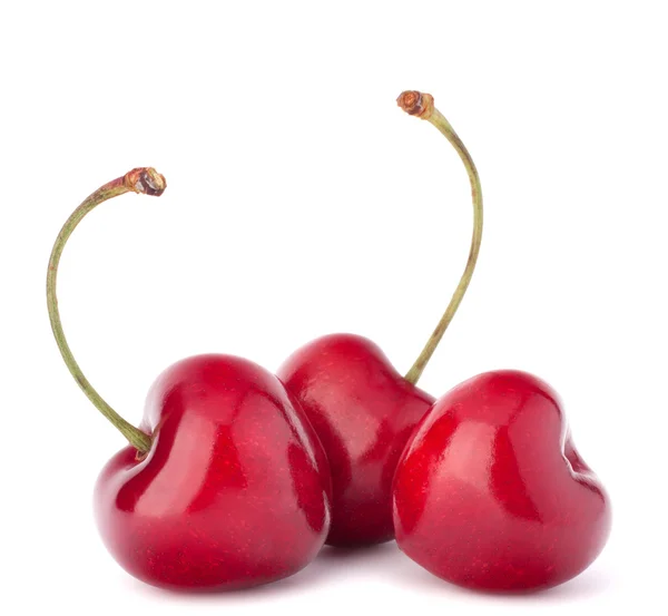 Baies cerises en forme de coeur — Photo