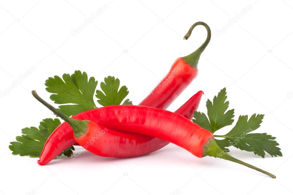 Hot red chili or chili pepper and parsley leaves