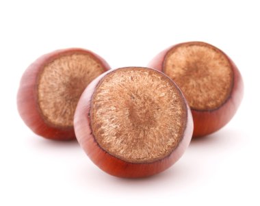 fındık veya fındık ceviz