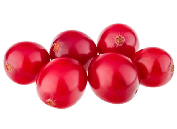 Merah cranberry — Stok Foto