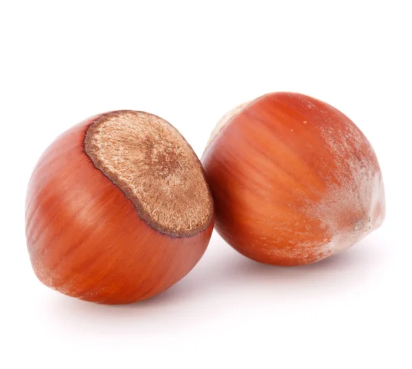 Hasselnötter eller FILBERTNÖT nötter — Stockfoto