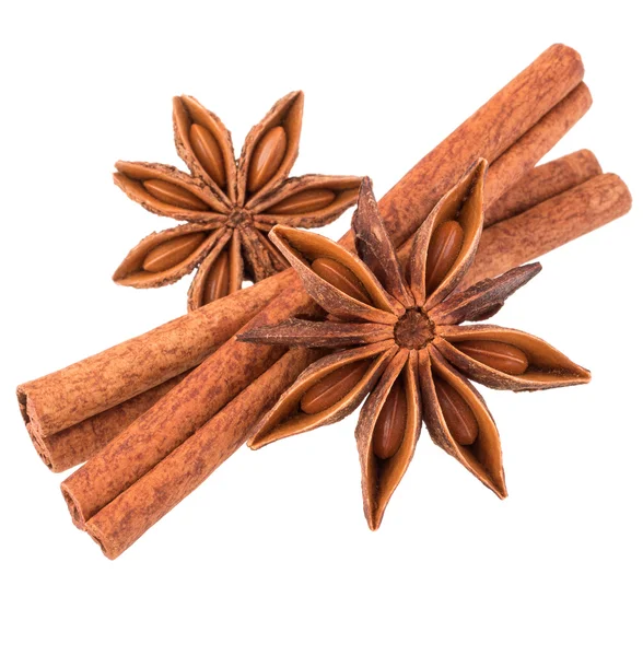 Cinnamon stick and star anise spice — Stock Photo, Image