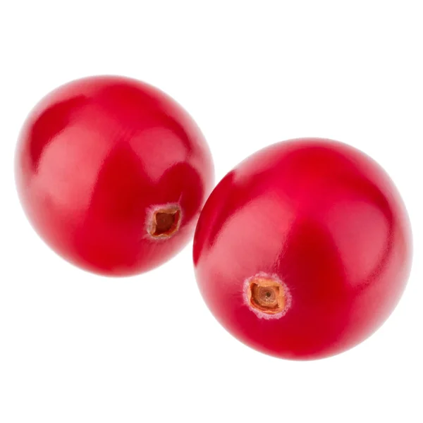 Merah cranberry — Stok Foto
