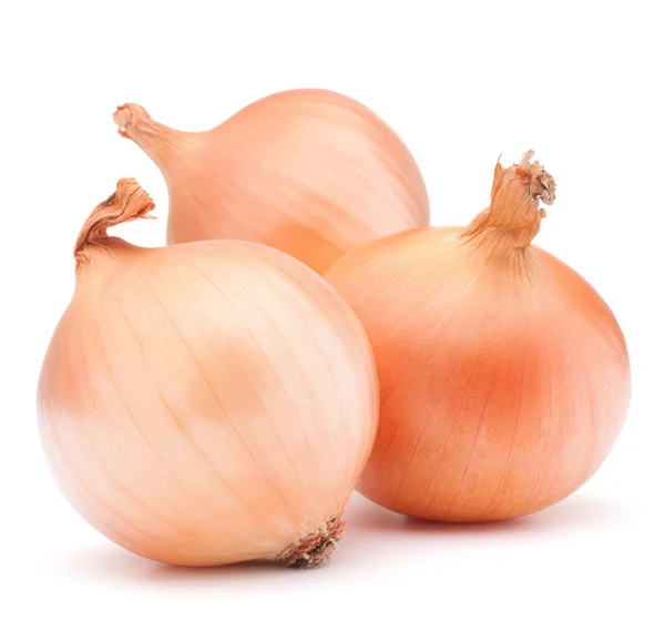 Gouden UI plantaardige bollen — Stockfoto