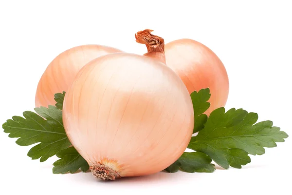 Plantaardige bollen van UI en peterselie bladeren — Stockfoto