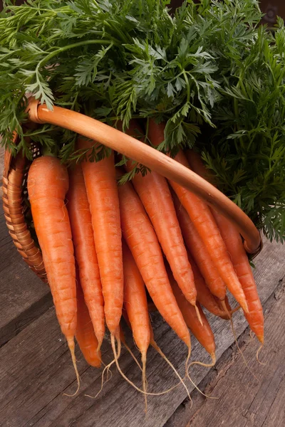 Carottes fraîches dans un panier en osier — Photo