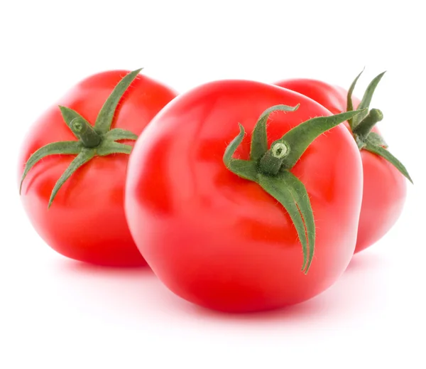 Tomatengemüse — Stockfoto