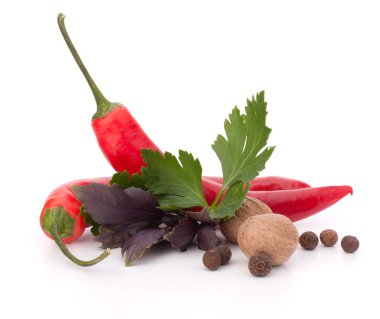 sıcak kırmızı biber veya kırmızı biber biber ve aromatik bitkiler yaprakları