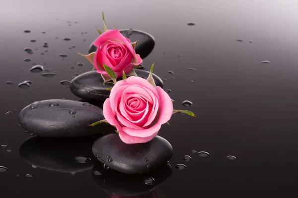 Spa stone and rose flowers still life. — Stock Photo, Image