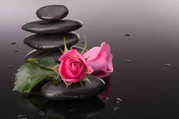 Spa-kő és a rózsa virág csendélet. — Stock Fotó