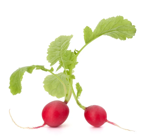 Small garden radish with leaves — Stock Photo, Image