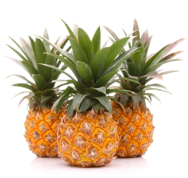 Pineapple tropical fruit or ananas — Stock Photo, Image