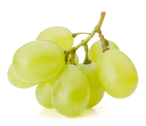 Green grape bunch — Stock Photo, Image