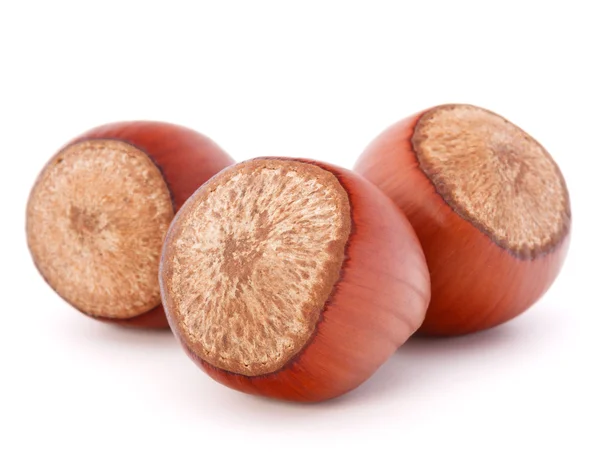 Hazelnut или filbert nut — стоковое фото