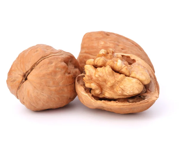 Walnut — Stock Photo, Image