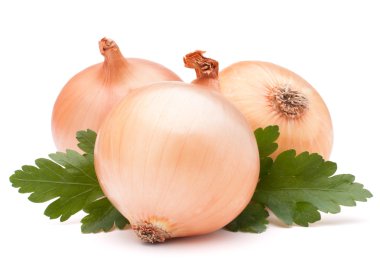 soğan sebze ampul ve maydanoz yaprakları