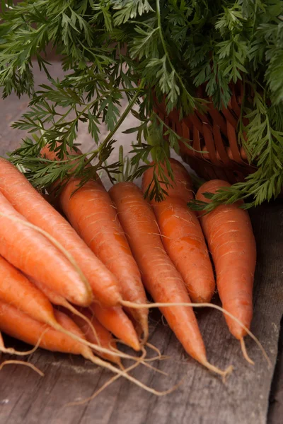 Fresh carrot bunch — Stock Photo, Image