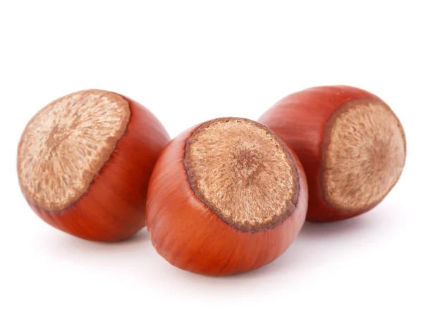 Three brown hazelnuts — Stock Photo, Image