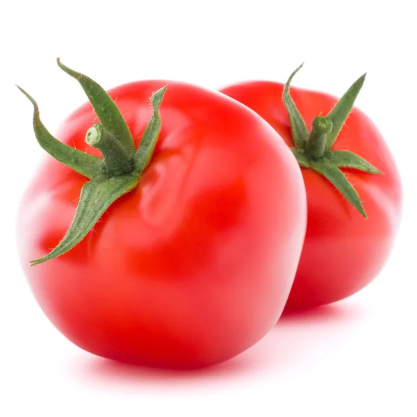 Tomato vegetables — Stock Photo, Image