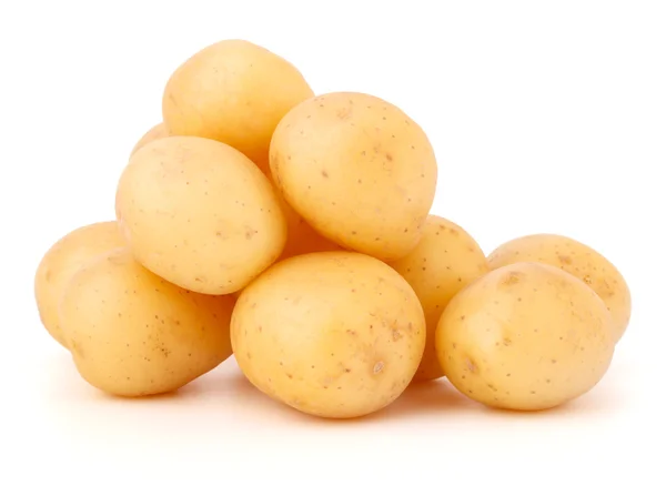 Νέα κονδύλων πατάτας — Φωτογραφία Αρχείου