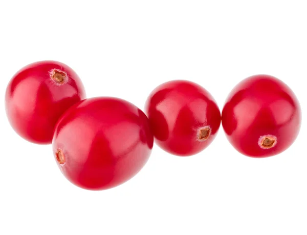 Rote Preiselbeeren — Stockfoto