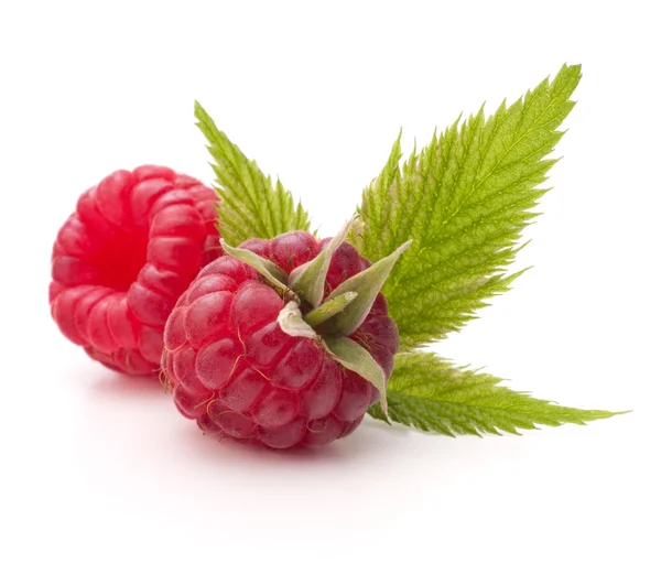 Sweet raspberry with leaves — Stock Photo, Image