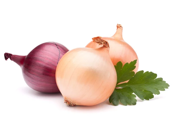 Onion  bulbs and parsley leaves — Stock Photo, Image
